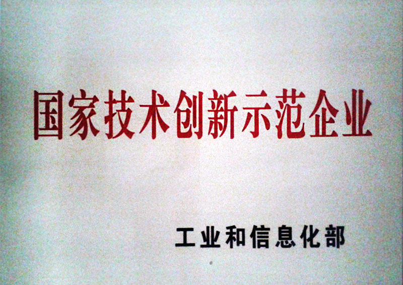 国家技术创新示范企业